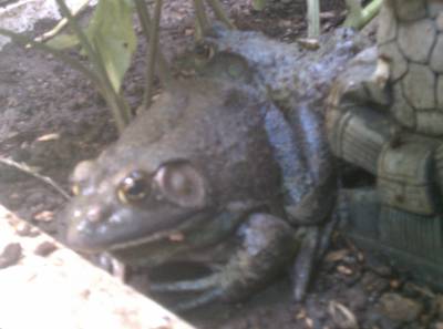 P12.jpg