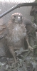 P14.jpg