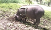 P3.jpg