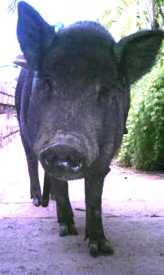 P4.jpg