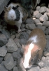 P8.jpg