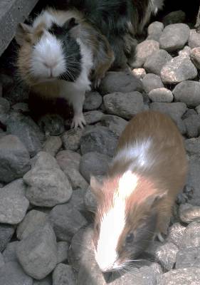 P8.jpg